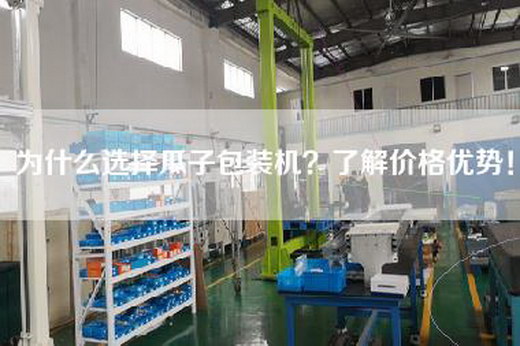 为什么选择瓜子包装机？了解价格优势！