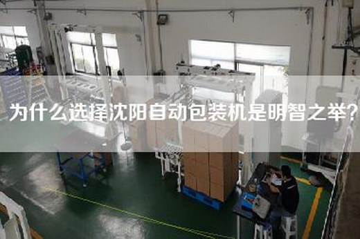 為什么選擇沈陽(yáng)自動(dòng)包裝機是明智之舉？