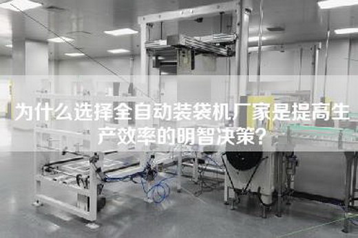 为什么选择全自动装袋机厂家是提高生产效率的明智决策？