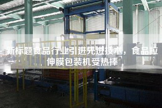 新标题食品行业引进先进技术，食品拉伸膜包装机受热捧