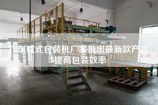 广东枕式包装机厂家推出最新款产品，提高包装效率