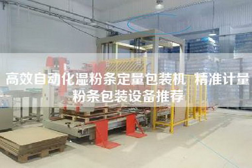 高效自动化湿粉条定量包装机  精准计量粉条包装设备推荐