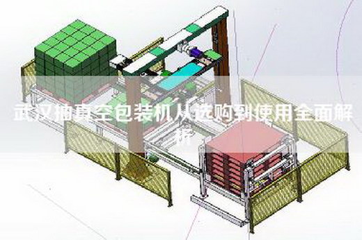 武汉抽真空包装机从选购到使用全面解析